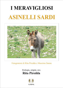 i-meravigliosi-asinelli-sardi-rita-piredda