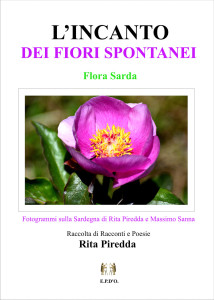 l'incanto-dei-fiori-spontanei-rita-piredda