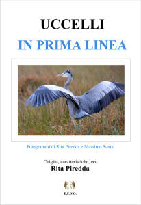 uccelli-in-prima-linea-rita-piredda