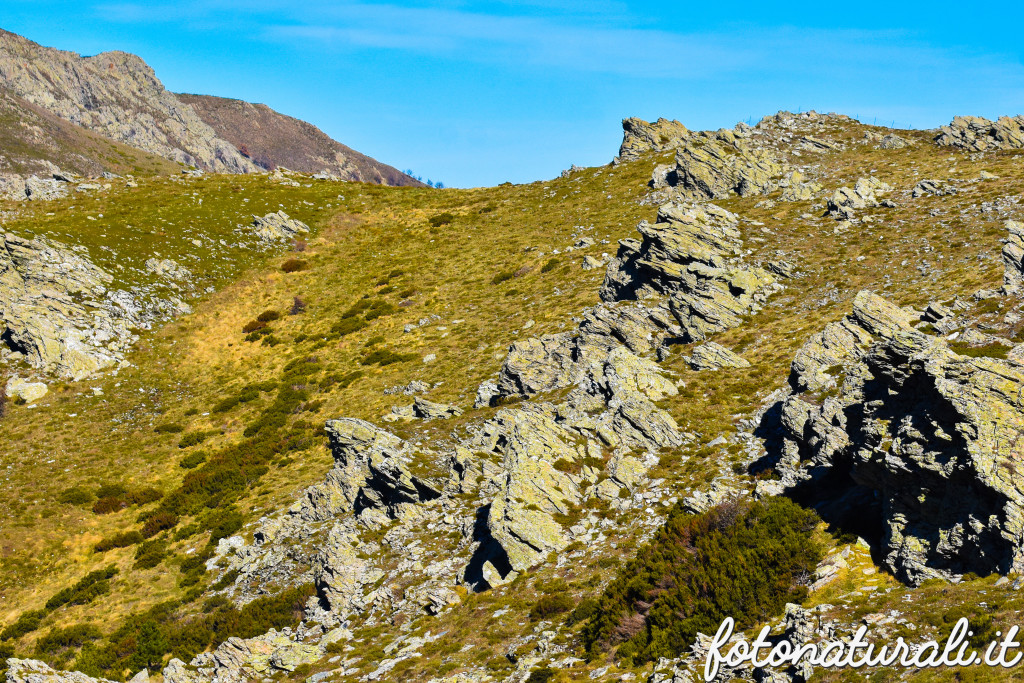 fotonaturali-paesaggisardi-20a15