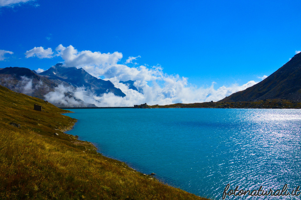 fotonaturali-granparadiso-20c03