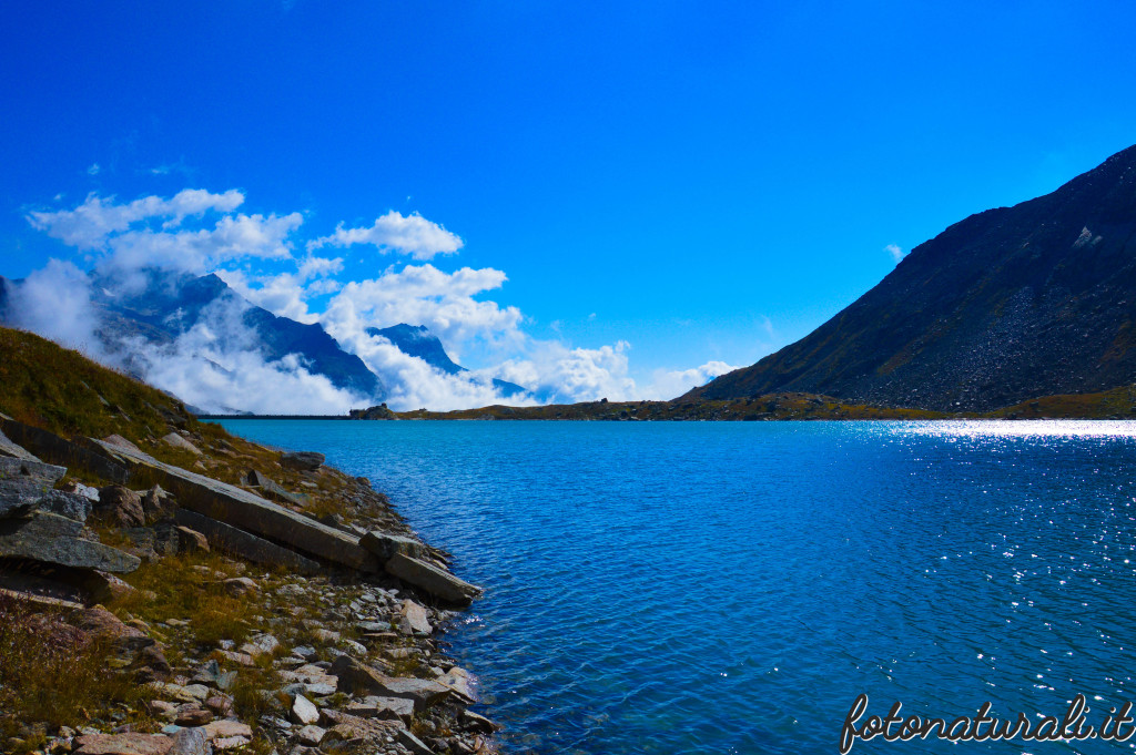 fotonaturali-granparadiso-20c04