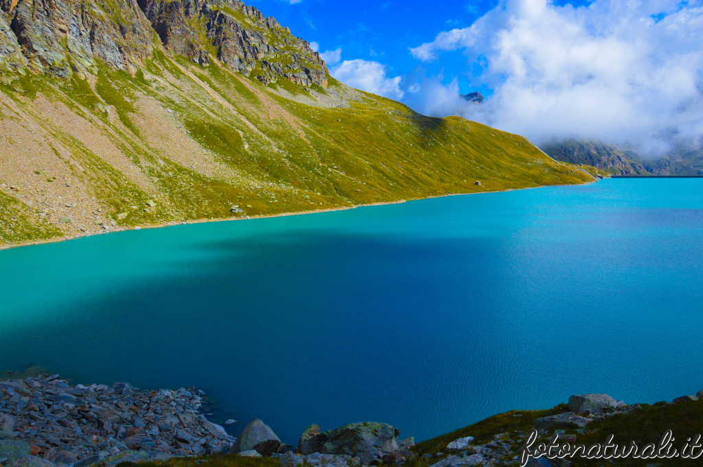 fotonaturali-granparadiso-20c10