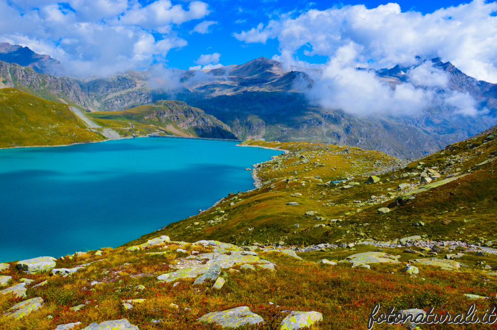 fotonaturali-granparadiso-20c11