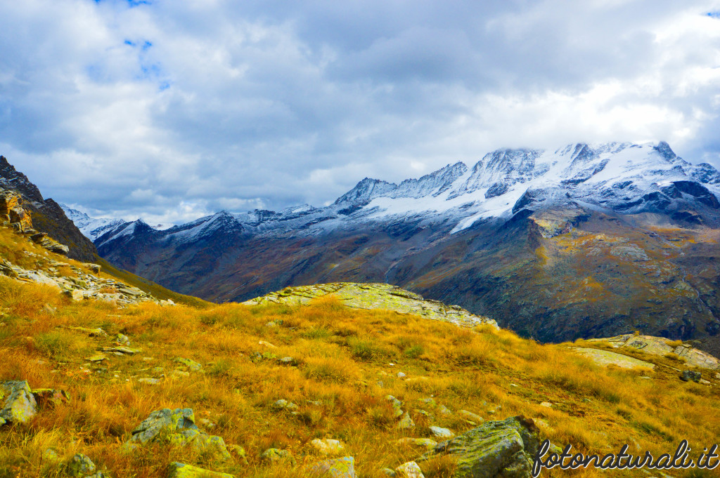 fotonaturali-granparadiso-20c14