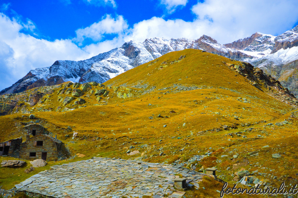 fotonaturali-granparadiso-20c15