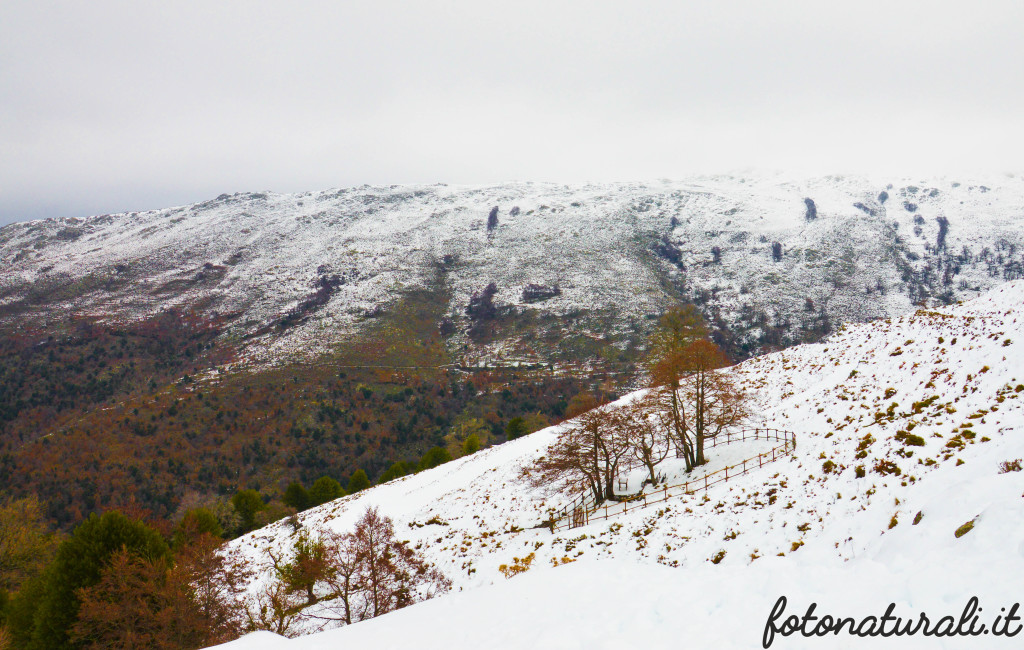 fotonaturali-paesaggisardi-21a38